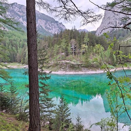 Haus Bergblick Fruehstueckspension Oberort Exteriör bild