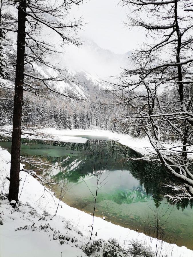 Haus Bergblick Fruehstueckspension Oberort Exteriör bild