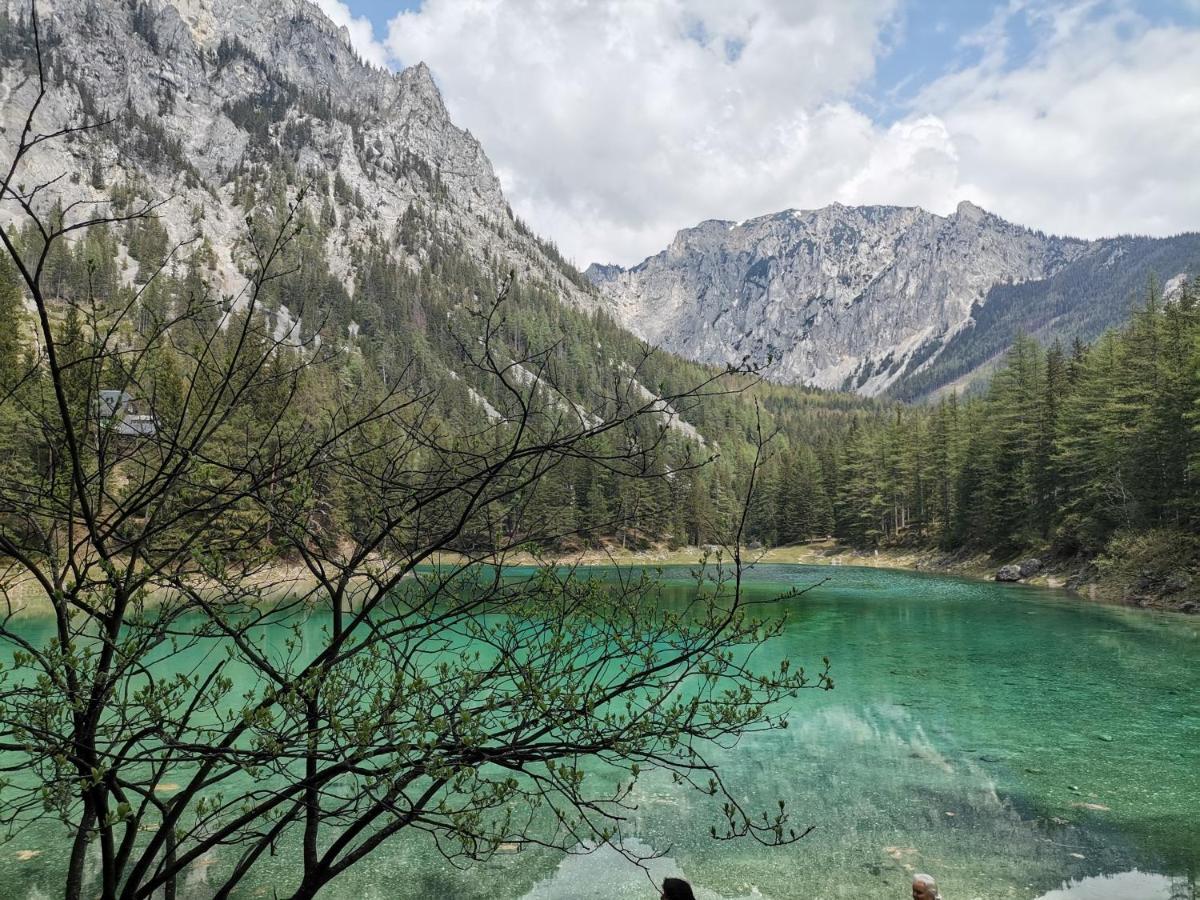 Haus Bergblick Fruehstueckspension Oberort Exteriör bild