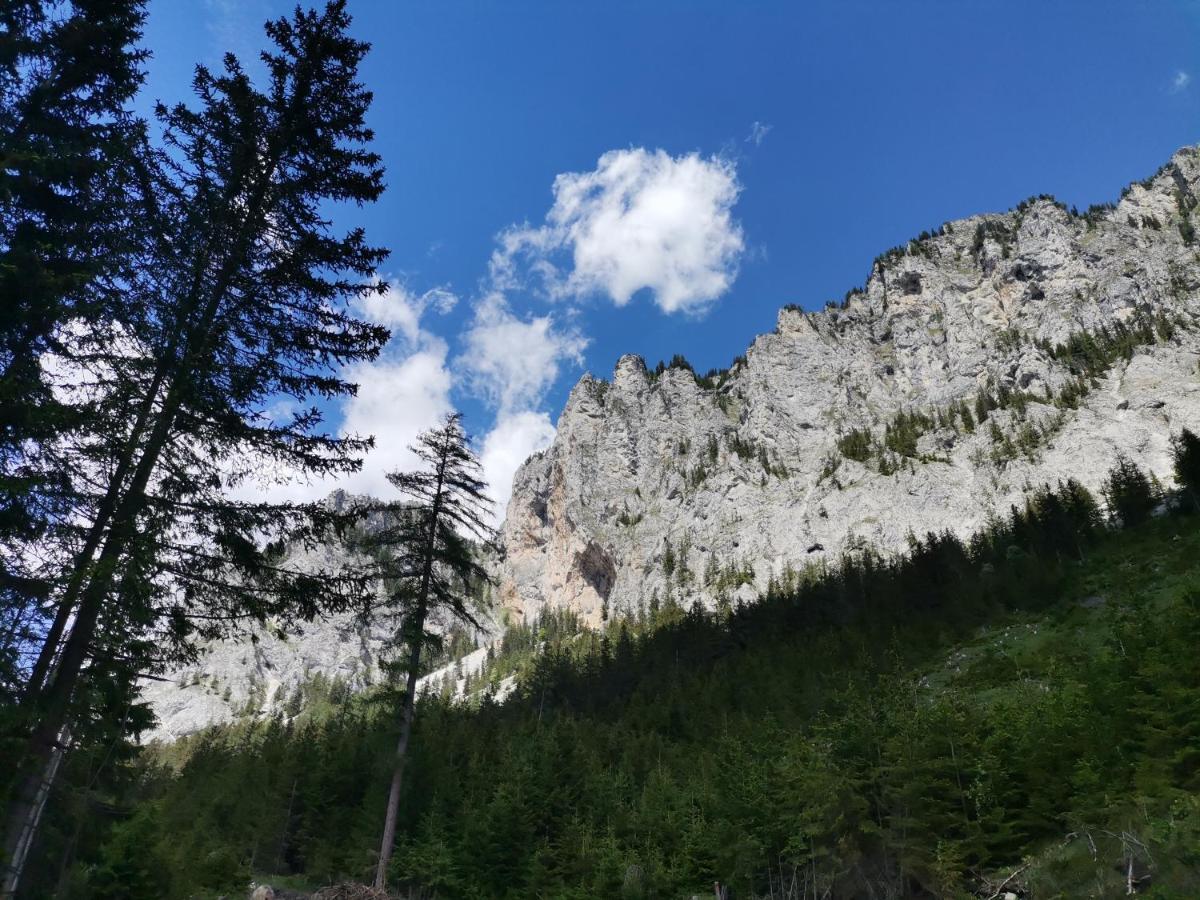 Haus Bergblick Fruehstueckspension Oberort Exteriör bild