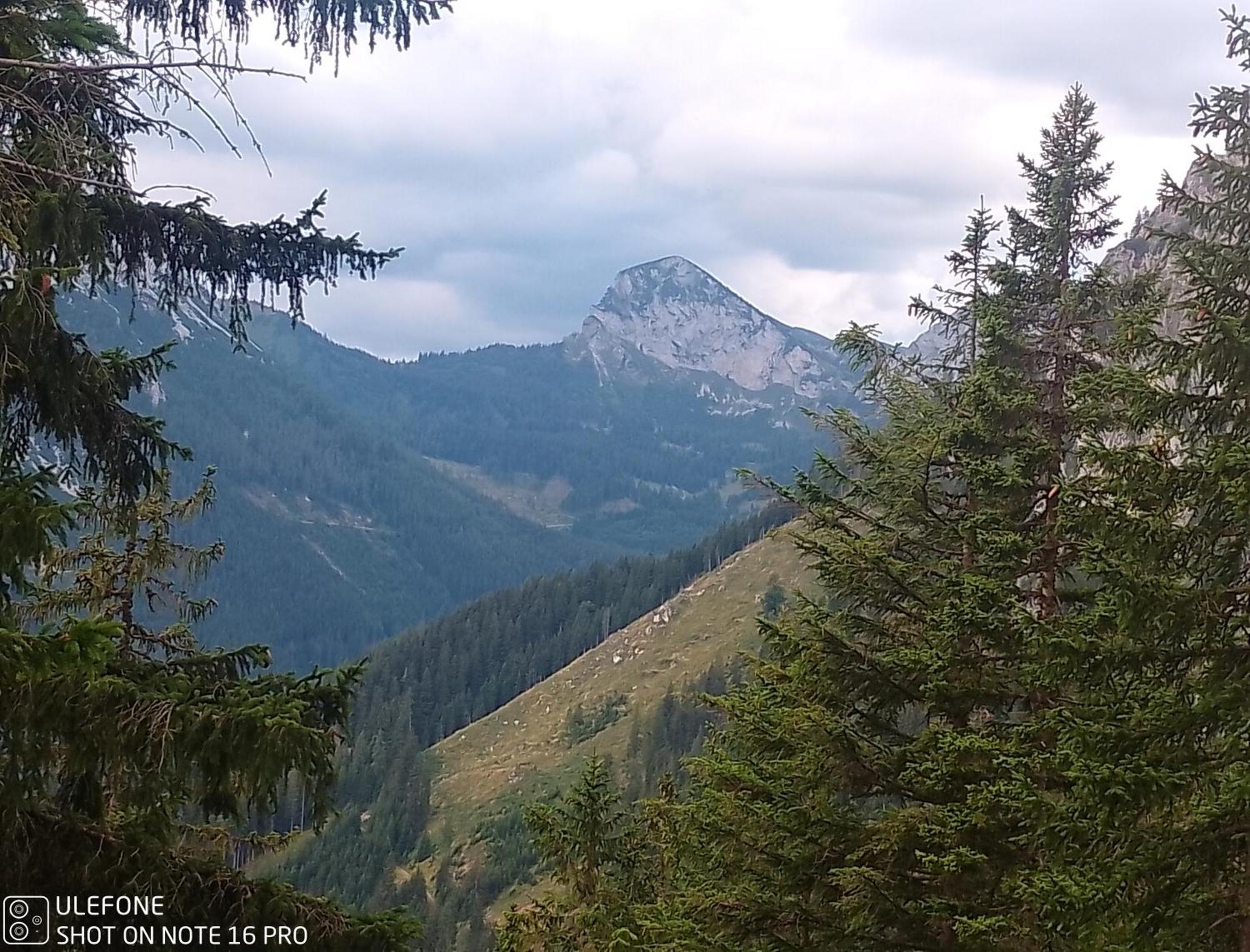 Haus Bergblick Fruehstueckspension Oberort Exteriör bild