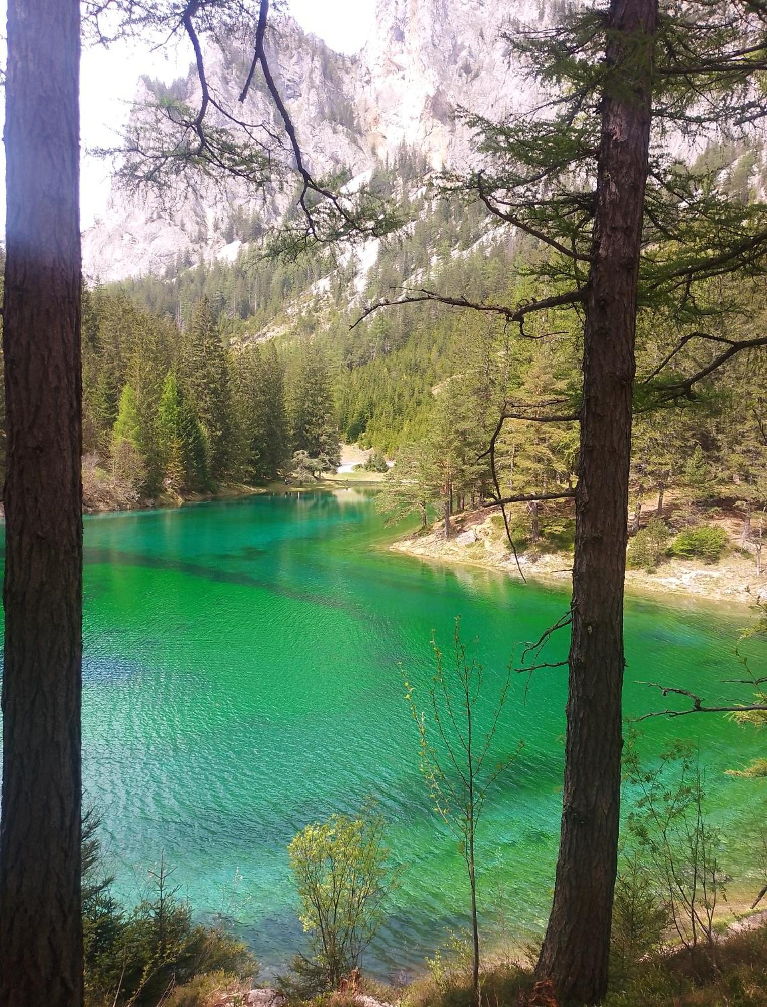 Haus Bergblick Fruehstueckspension Oberort Exteriör bild