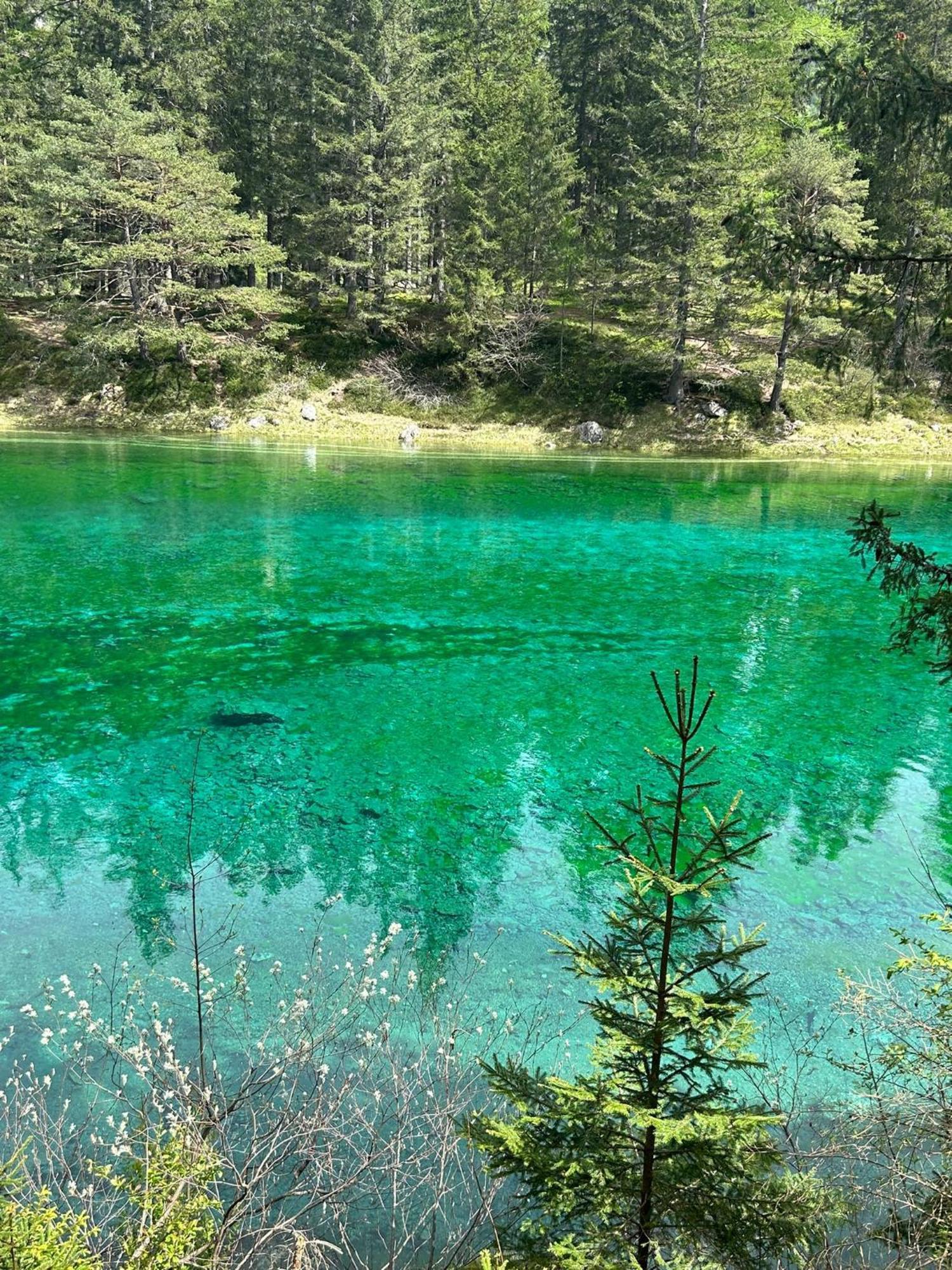 Haus Bergblick Fruehstueckspension Oberort Exteriör bild