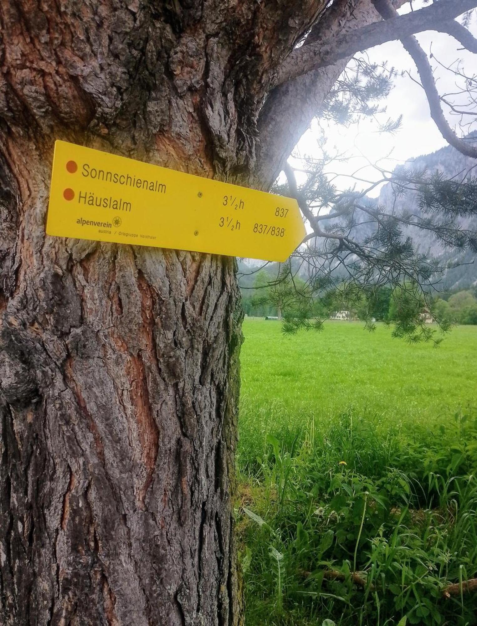 Haus Bergblick Fruehstueckspension Oberort Exteriör bild