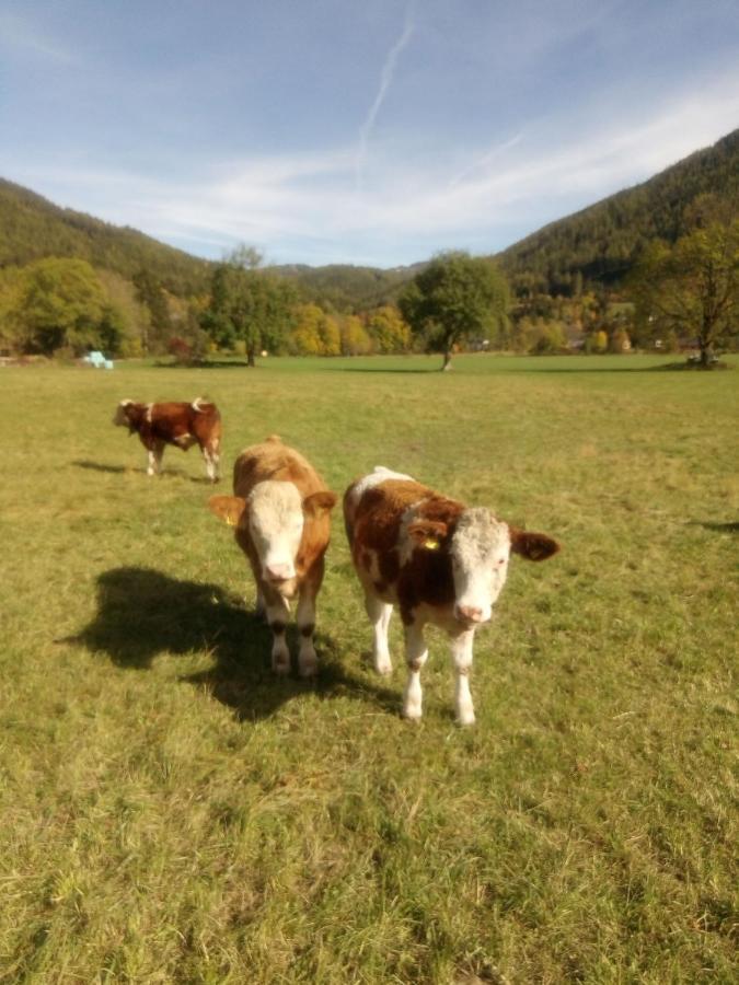 Haus Bergblick Fruehstueckspension Oberort Exteriör bild