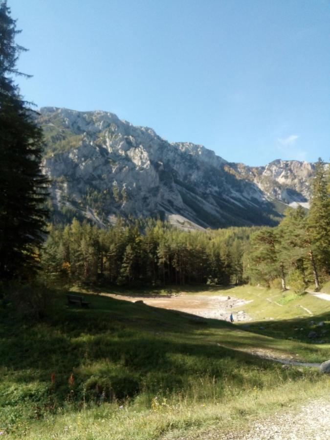 Haus Bergblick Fruehstueckspension Oberort Exteriör bild